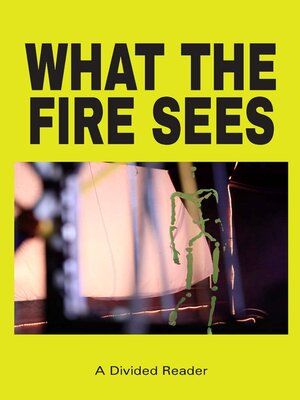 cover image of What the Fire Sees